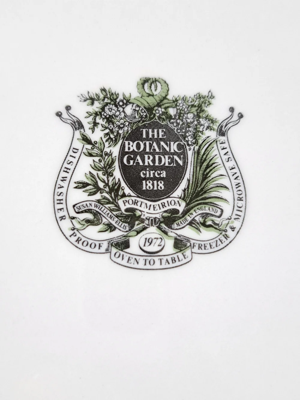 Portmeirion Botanic Garden Buffet Dinner Plate